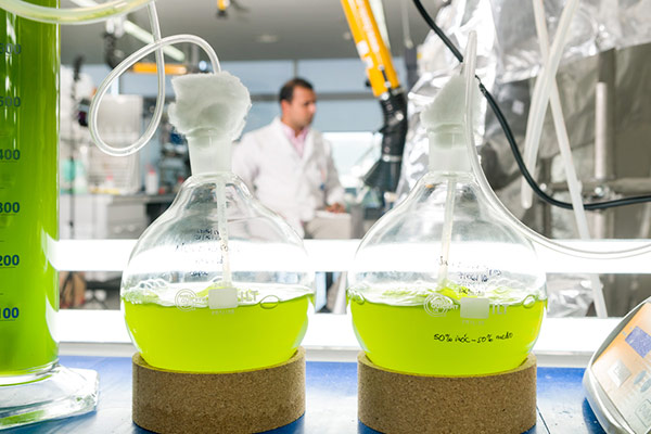 Laboratorio linea biogas